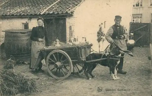 Ak Belgische Tracht, Milchmädchen, Hundekarren, Arbeitshund, Bauernhof