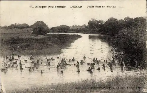 Ak Dakar Senegal, Angeln in einer Marigot