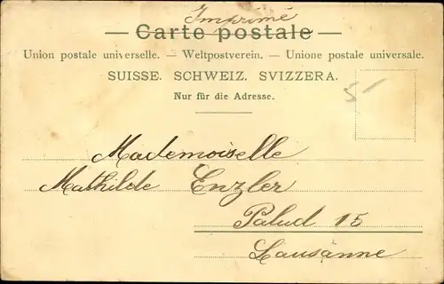 Litho Clarens Vernex Montreux Kanton Waadt, Panorama, Dampfer