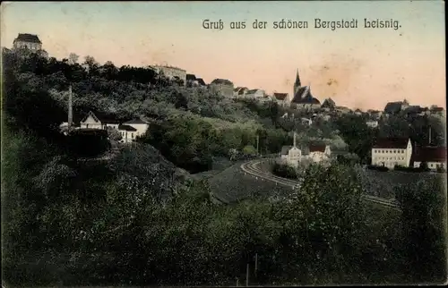 Ak Leisnig in Sachsen, Panorama