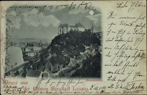 Mondschein Ak Leisnig in Sachsen, Gesamtansicht