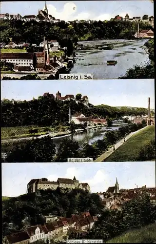 Ak Leisnig in Sachsen, Schloss Mildenstein, Mulde, Ortsansicht