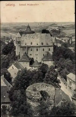 Ak Leisnig in Sachsen, Schloss Mildenstein, Vogelschau