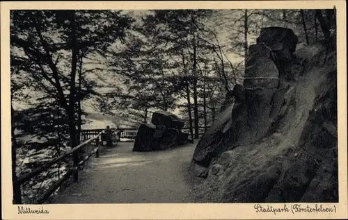 Ak Mittweida in Sachsen, Stadtpark, Försterfelsen