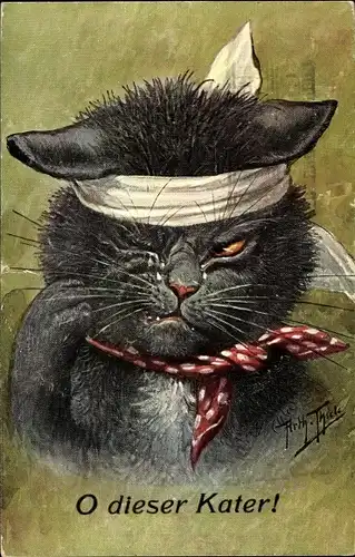 Künstler Ak Thiele, Arthur, O dieser Kater, vermenschlichte betrunkene Katze
