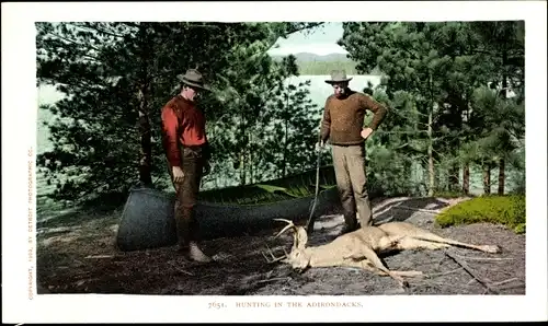 Ak New York USA, Jagd in den Adirondacks, Hirsche