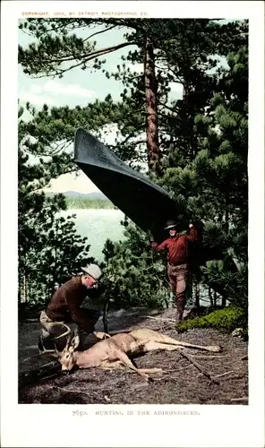 Ak New York USA, Jagd in den Adirondacks, Hirsche