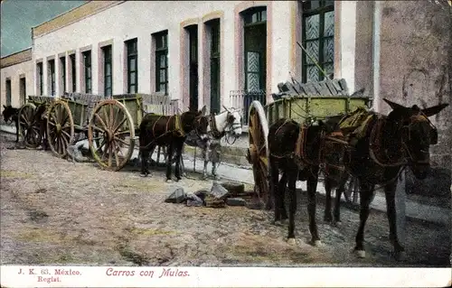 Ak Mexiko, Eselkarren
