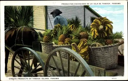 Ak Taboga Island Panama, Choice Products, Karren mit Bananen, Ananas