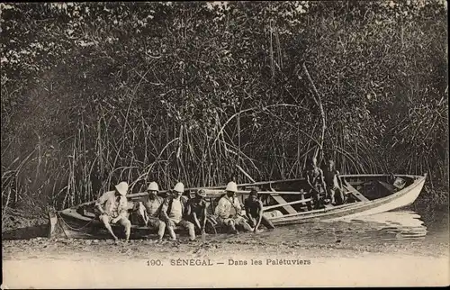 Ak Senegal, Dans les Palétuviers, Mangroven, Boot