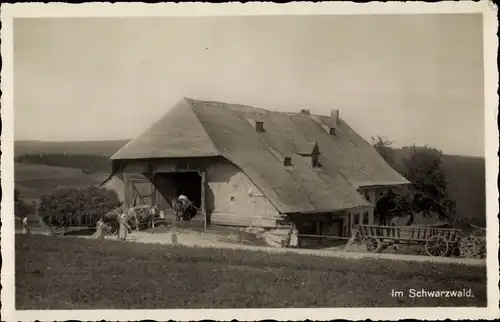Ak Wohnhaus im Schwarzwald, Bauernhof, Fuhrwerk