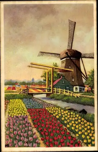 Künstler Ak Windmühle, holländische Tulpenfelder, Brücke