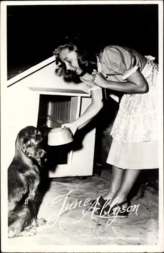 Ak Schauspielerin June Allyson, Portrait einen Hund fütternd