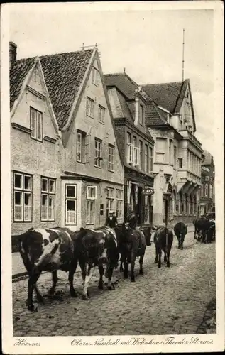 Ak Husum in Nordfriesland, Obere Neustadt, Viehtrieb, Wohnhaus Theodor Storm