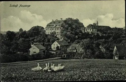 Ak Zschöppichen Mittweida in Sachsen, Schloss Neusorge, Gänse