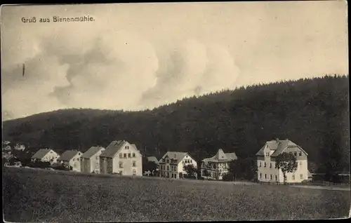 Ak Rechenberg Bienenmühle Erzgebirge, Teilansicht