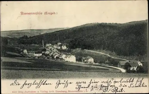 Ak Rechenberg Bienenmühle Erzgebirge, Panorama