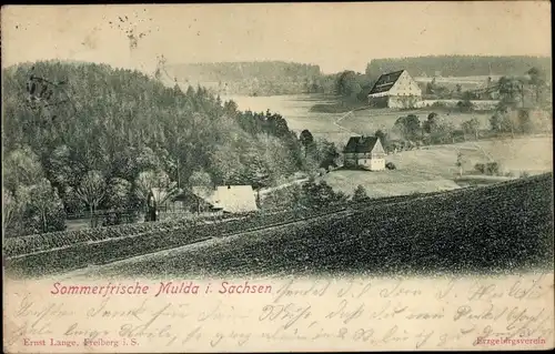 Ak Mulda im Erzgebirge, Panorama