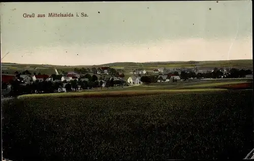 Ak Mittelsaida Großhartmannsdorf im Erzgebirge, Panorama