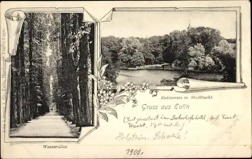 Ak Eutin in Ostholstein, Eutiner See mit Stadtbucht, Wasserallee