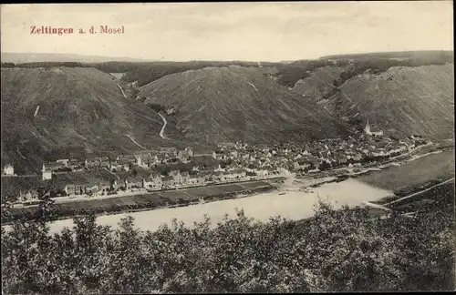 Ak Zeltingen an der Mosel, Panorama