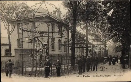 Ak Paris, Jardin des Plantes, Vögel