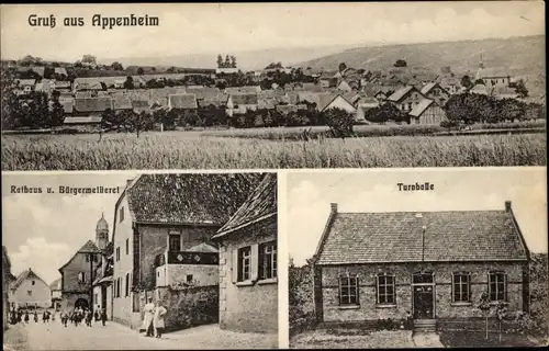 Ak Appenheim Rheinland Pfalz, Turnhalle, Rathaus, Totalansicht