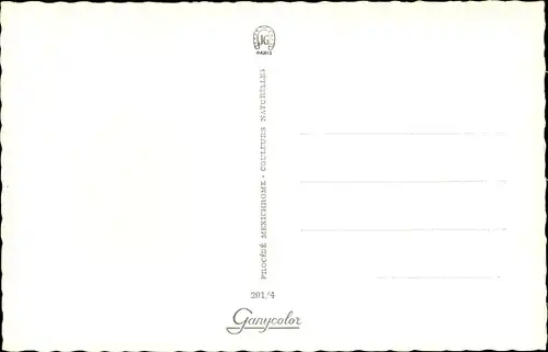 Ak Frau in lila Bikini am Strand