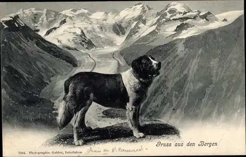 Ak Bernhardiner, Gebirge, Berglandschaft