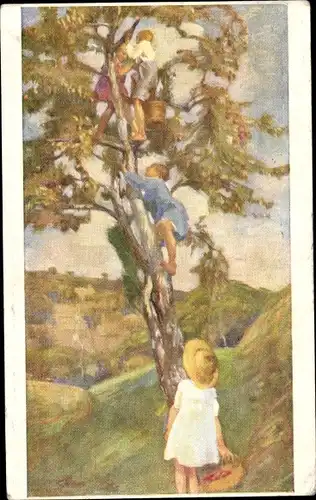 Künstler Ak Chiesa, Pietro, Apfelbaum, Kinder pflücken Äpfel