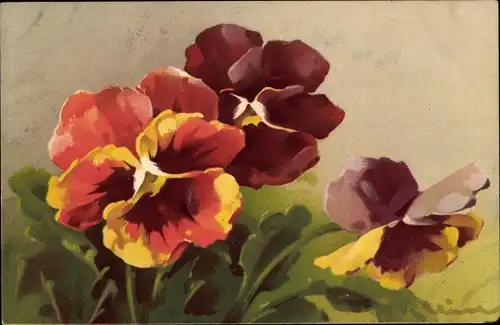 Künstler Ak Klein, C., Blühende Stiefmütterchen