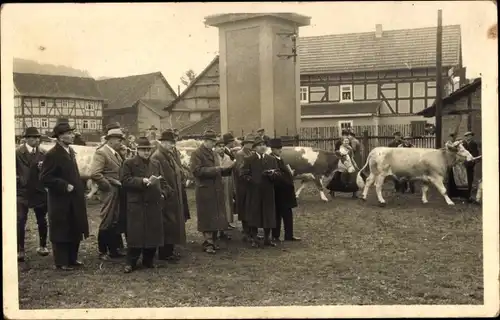 Foto Ak Marktplatz, Rinder, Wohnhäuser