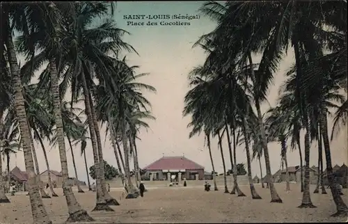 Ak Saint Louis Senegal, Place des Cocotiers, Palmen