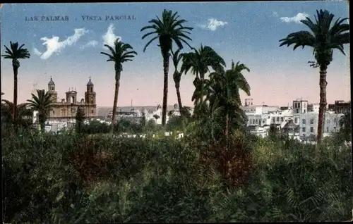 Ak Las Palmas de Gran Canaria Kanarische Inseln, Teilansicht, Palmen