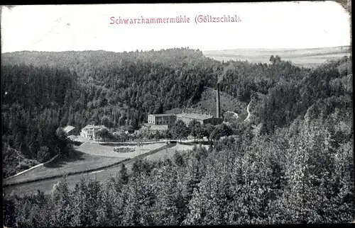 Ak Netzschkau im Vogtland, Schwarzhammermühle im Göltzschtal, Wald