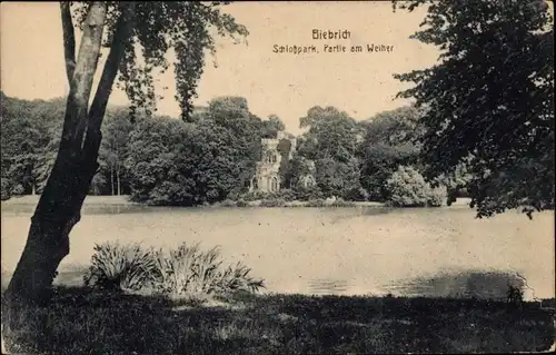 Ak Biebrich am Rhein Wiesbaden, Stadtpark, Weiher