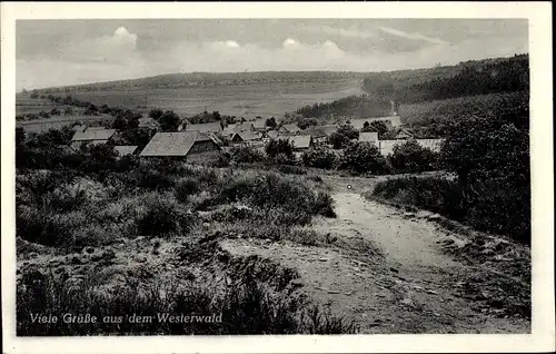 Ak Höhr Grenzhausen im Westerwald, Panorama