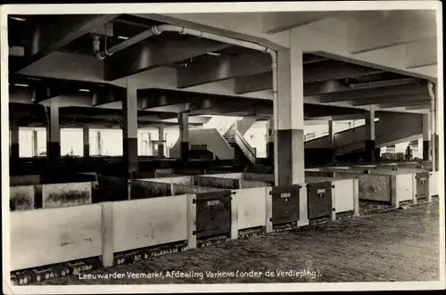 Ak Leeuwarden Friesland Niederlande, Veemarkt, Schweineabteilung