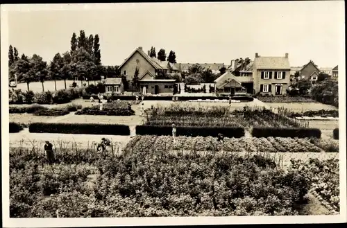 Ak Deventer Overijssel Niederlande, Garten, Gärtnerhaus und Hühnerstall New Rollecate