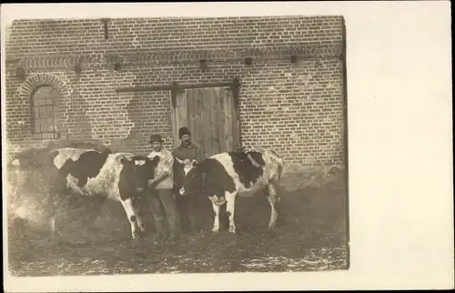 Foto Ak Russische Kühe als Ersatz für die Herdbuchherde, 1914