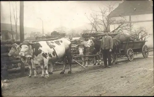 Foto Ak Fuhrwerk, Kühe, Transport, Bauer