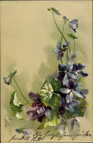Künstler Litho Klein, C., Blühende Veilchen