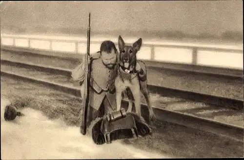 Ak Sanitätshund Troll stützt den aufgespürten Verwundeten