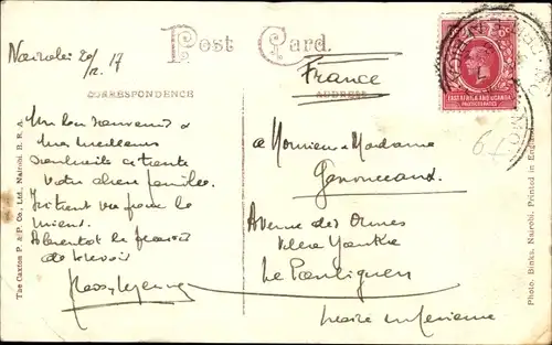 Ak Afrikanischer Löwe