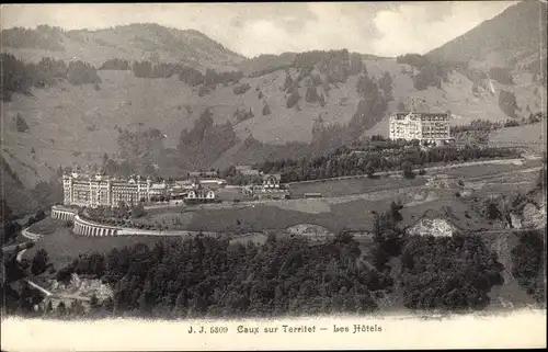 Ak Caux Territet Montreux Kt. Waadt, Das Hotel