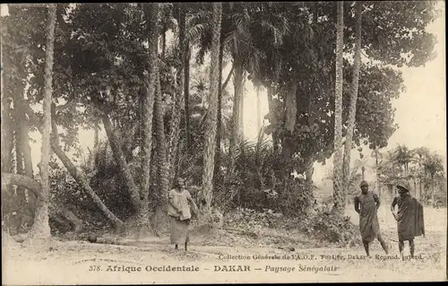 Ak Dakar, Senegal, senegalesische Landschaft