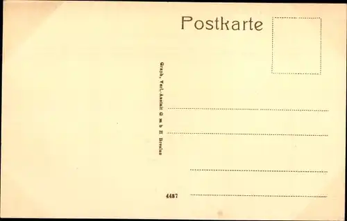Ak Burgstädt in Sachsen, Totalansicht