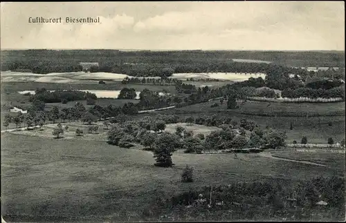 Ak Biesenthal in der Mark, Panorama