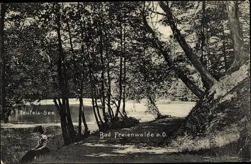 Ak Bad Freienwalde an der Oder, Teufelssee