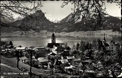 Ak St. Wolfgang am Wolfgangsee Oberösterreich, Panorama